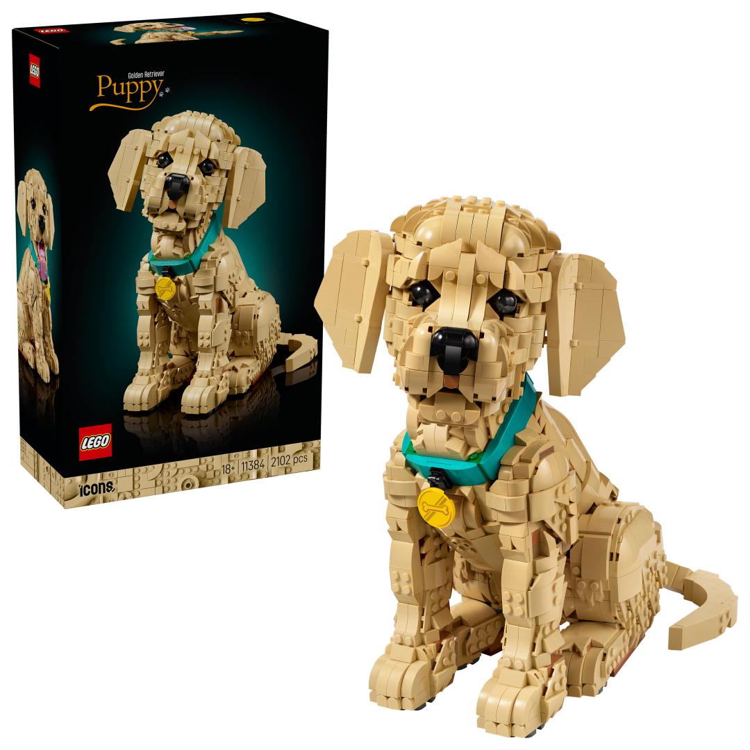 11384 | LEGO® ICONS™ Golden Retriever Puppy